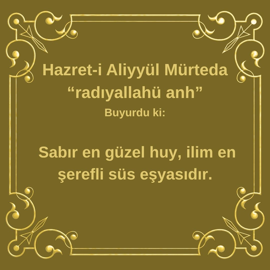 Aliyyül Mürteda (84)